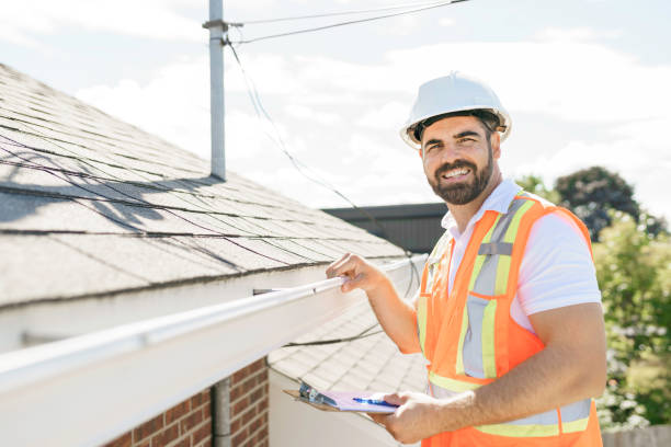 Best Roof Moss and Algae Removal  in Big Rapids, MI