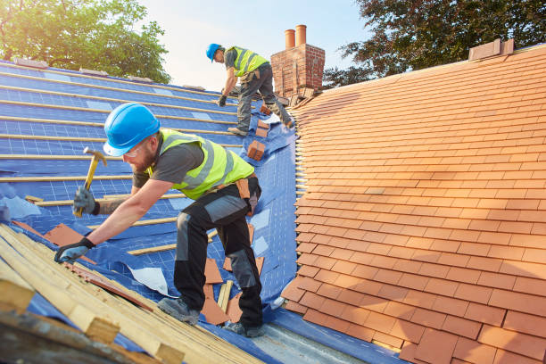 Best Roof Ventilation Installation  in Big Rapids, MI